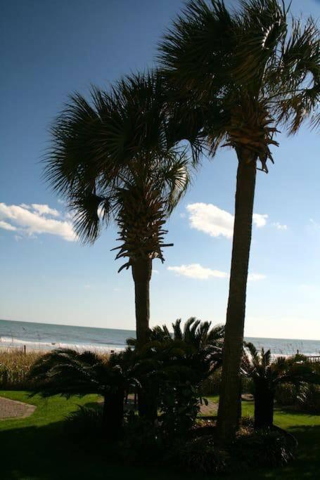 *Top Notch Family Space*Pool*Steps To The Sand*Huge Master*Wt0 默特尔比奇 外观 照片